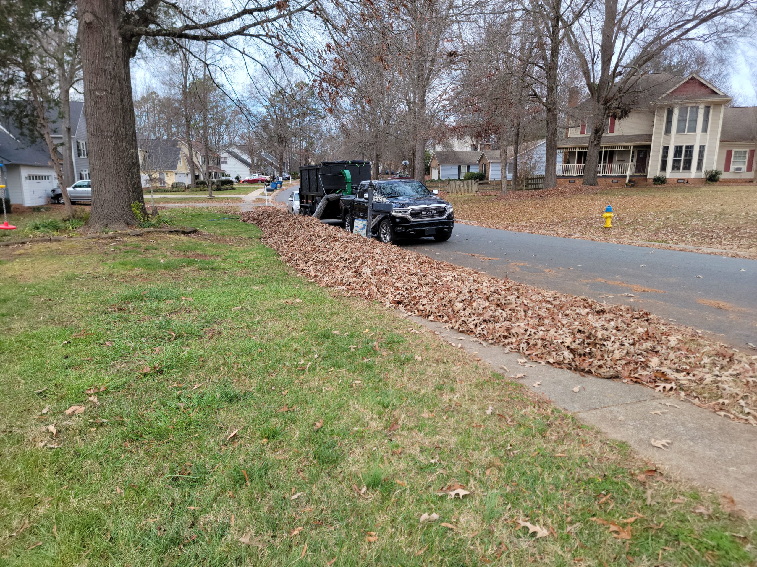 Seasonal lawn cleanup and lawn improvement by It's All Green