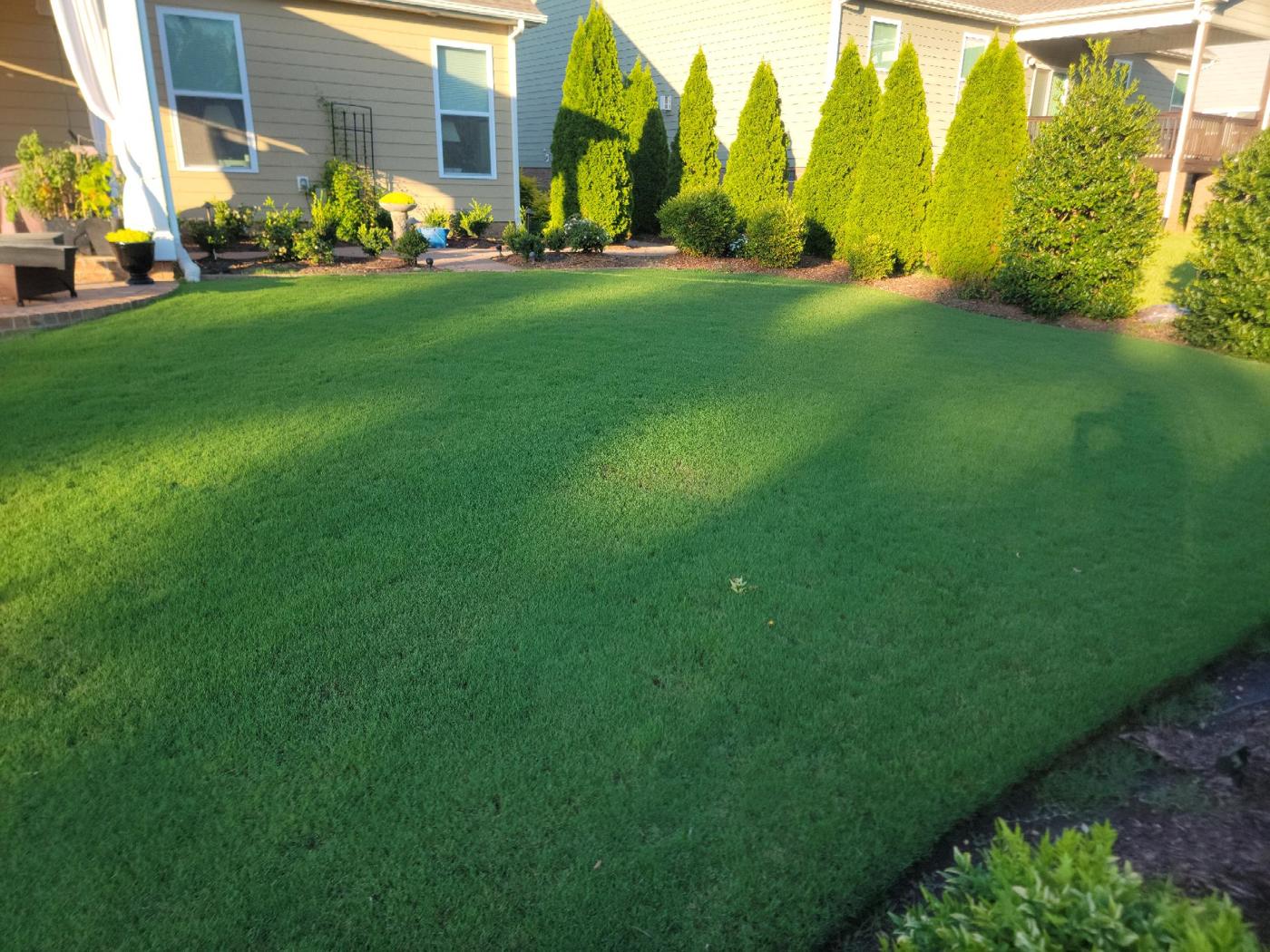 Before and after lawn topdressing and leveling by It's All Green